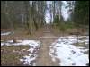 �����-������� ��������